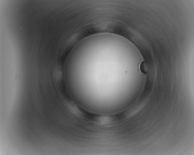 X0000113940085200910021311