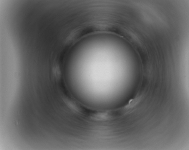 X0000113940086200910021311