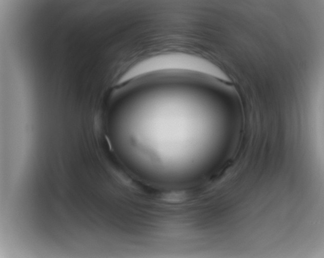 X0000113940088200910021311