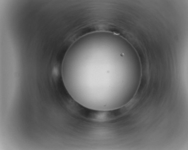 X0000113940090200910021311