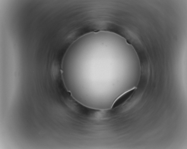 X0000113940092200910021311