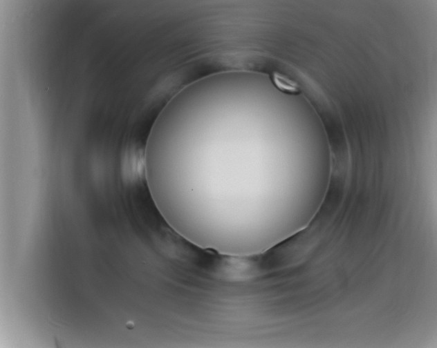 X0000113940095200910021311