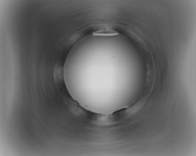 X0000113940096200910021311