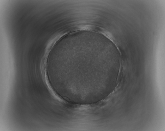 X0000113940097200910021310