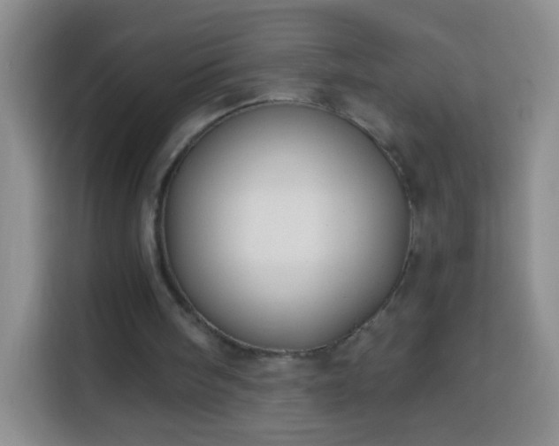 X0000113940098200910021310