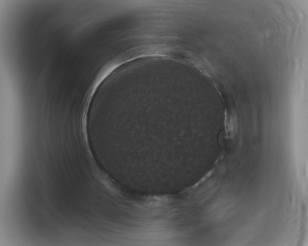 X0000113940099200910021310