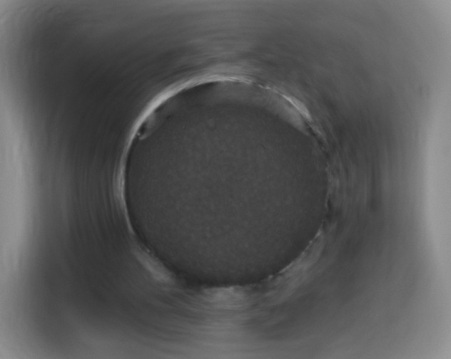 X0000113940100200910021310