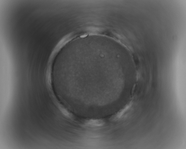 X0000113940101200910021310