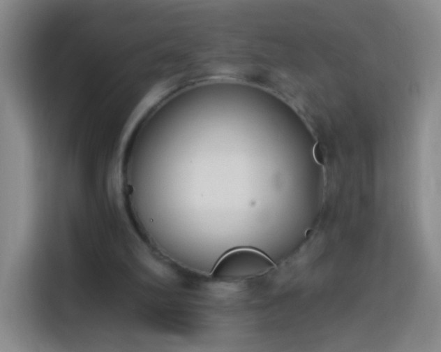 X0000113940102200910021310