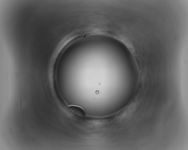 X0000113940103200910021310