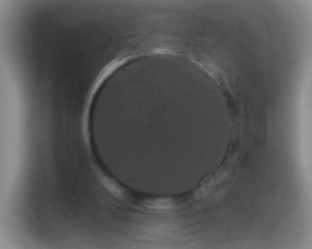 X0000113940104200910021310