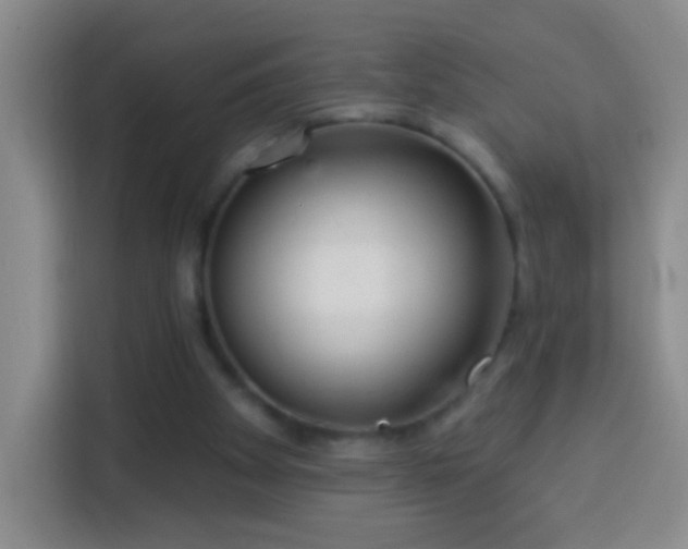 X0000113940105200910021310