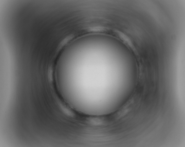 X0000113940106200910021310