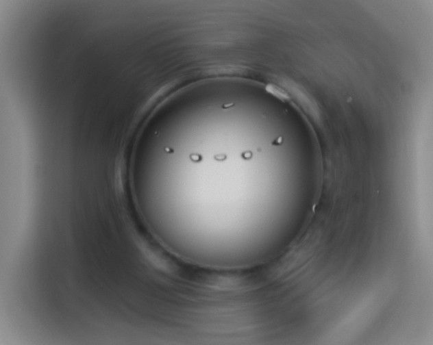 X0000113940107200910021310