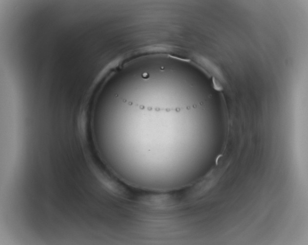 X0000113940108200910021310