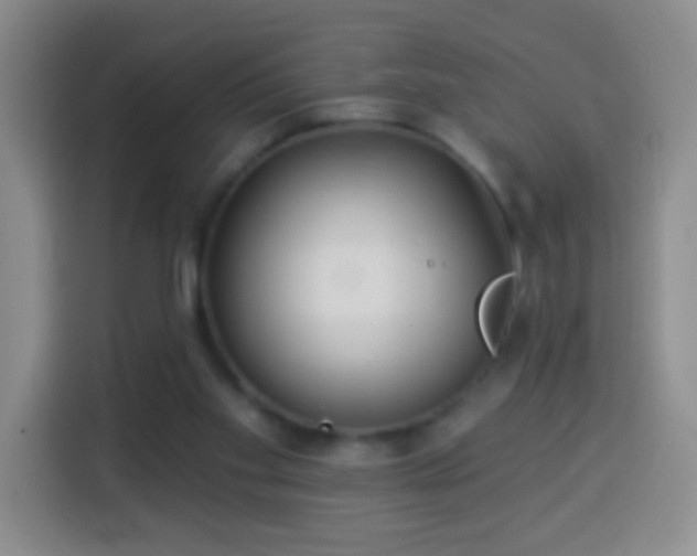 X0000113940109200910021310