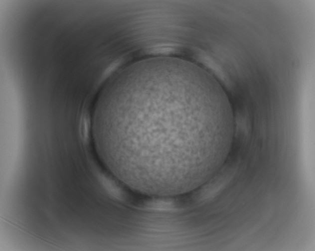 X0000113940110200910021310