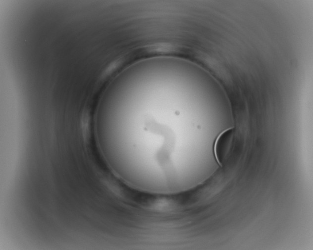 X0000113940111200910021310