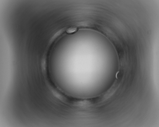 X0000113940112200910021310