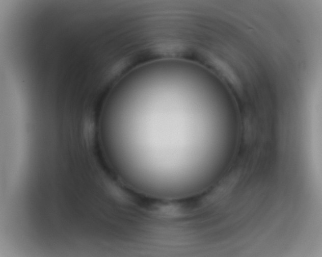 X0000113940113200910021310