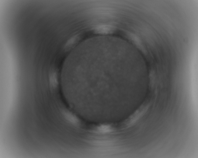 X0000113940114200910021310