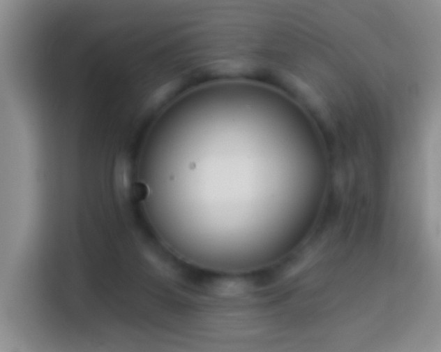 X0000113940115200910021310