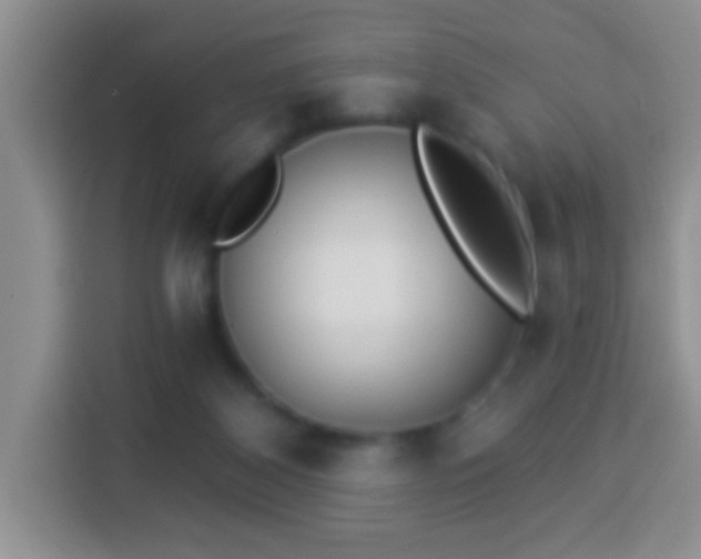 X0000113940116200910021310