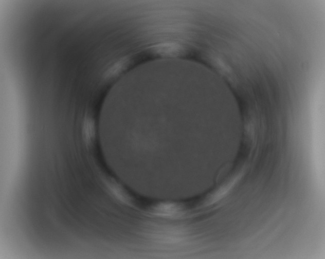 X0000113940117200910021310