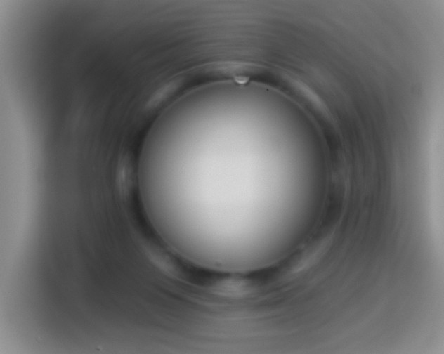 X0000113940119200910021310