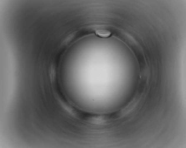 X0000113940120200910021310