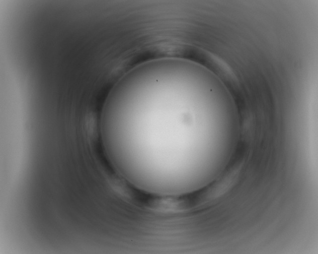 X0000113940121200910021310