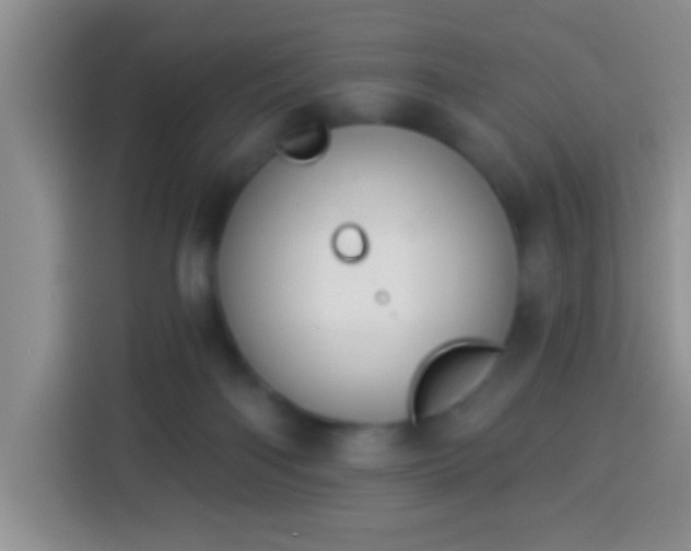 X0000113940122200910021310