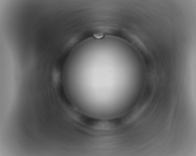 X0000113940123200910021310