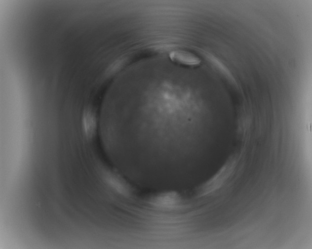 X0000113940124200910021310