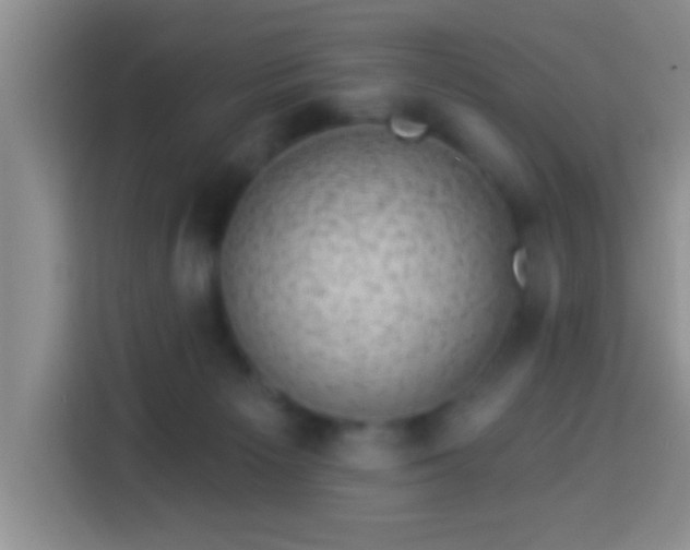 X0000113940125200910021310