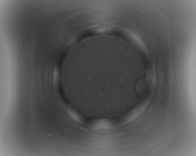 X0000113940127200910021310