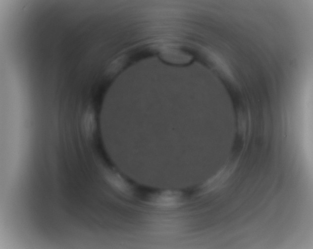 X0000113940128200910021310