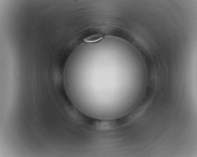 X0000113940129200910021310