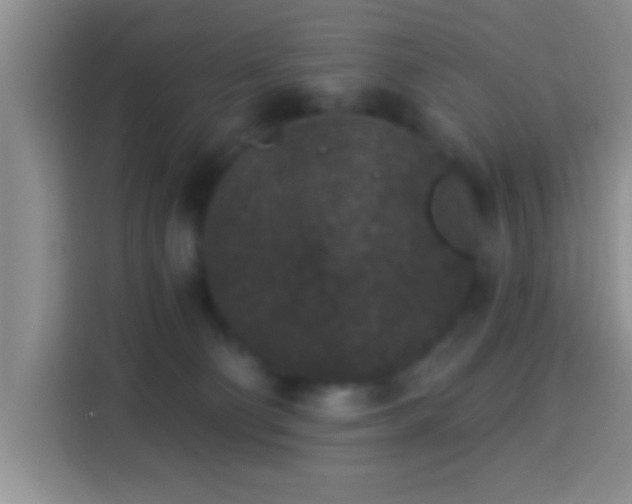 X0000113940130200910021310