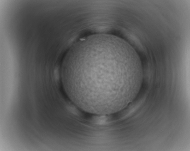 X0000113940131200910021310