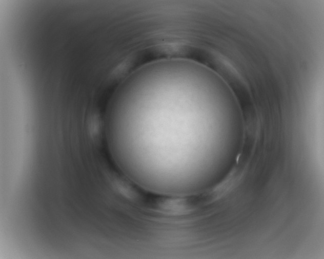 X0000113940132200910021310