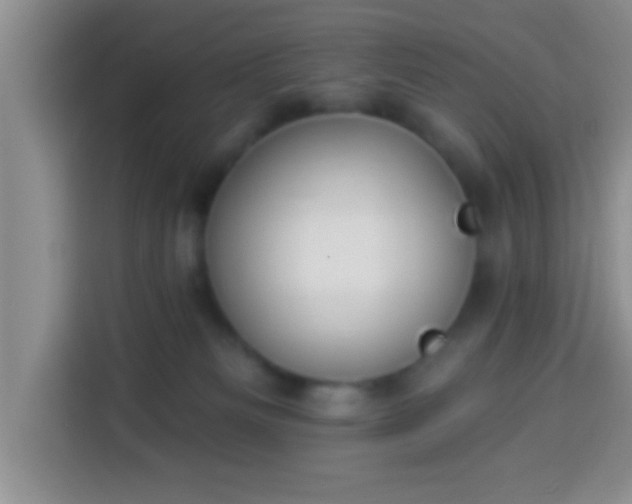 X0000113940133200910021310