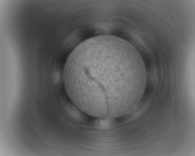 X0000113940134200910021310