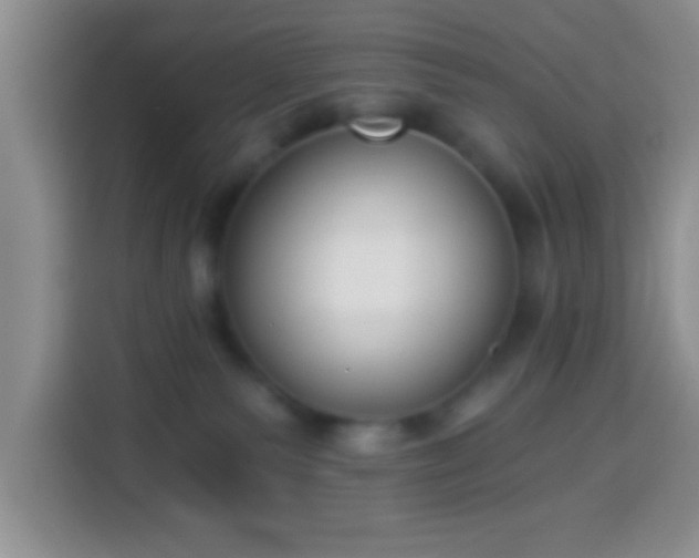 X0000113940135200910021310