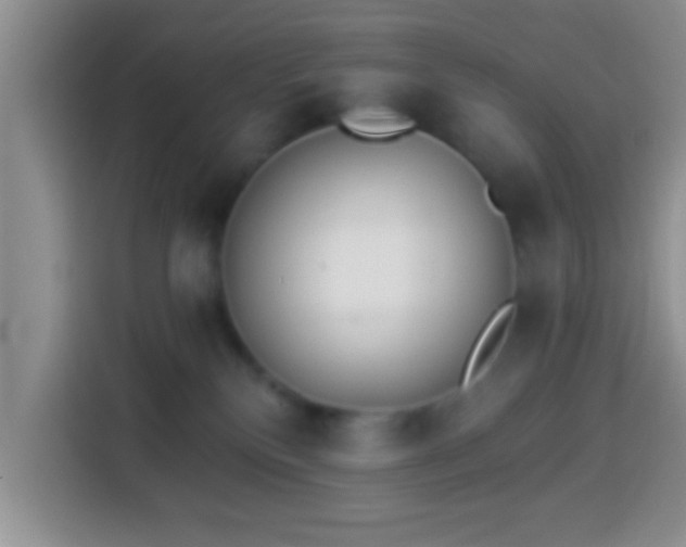 X0000113940136200910021310