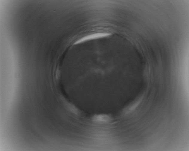 X0000113940137200910021310