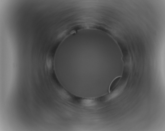 X0000113940139200910021310