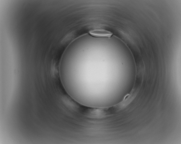 X0000113940140200910021310