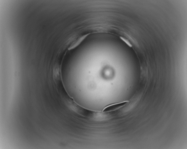 X0000113940141200910021310