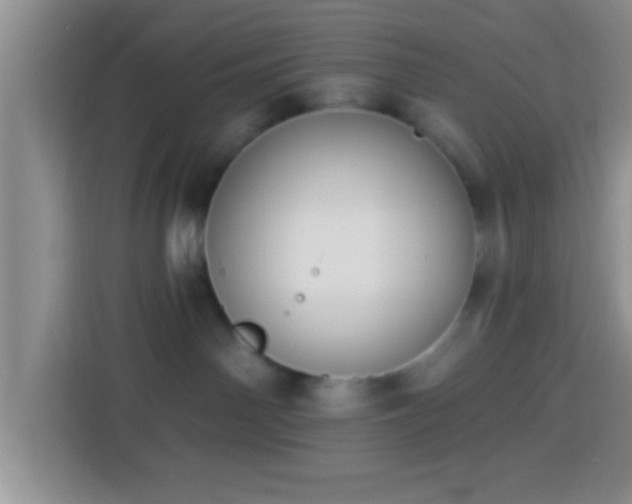 X0000113940142200910021310